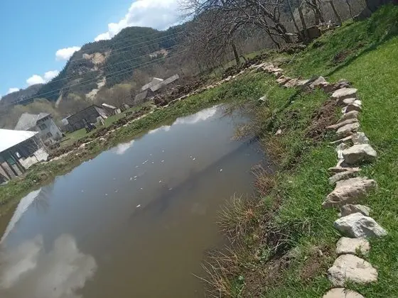 Oda, 1 Yatak Odası, Veranda