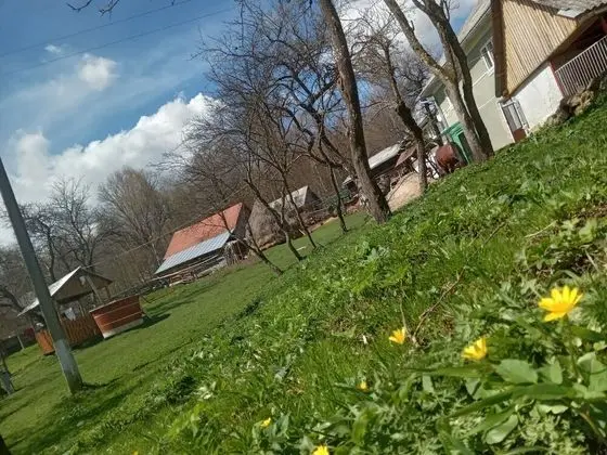 Oda, 1 Yatak Odası, Veranda