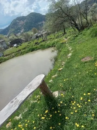 Oda, 1 Yatak Odası, Veranda