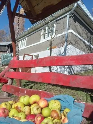 Oda, 1 Yatak Odası, Veranda