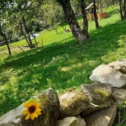 Oda, 1 Yatak Odası, Veranda