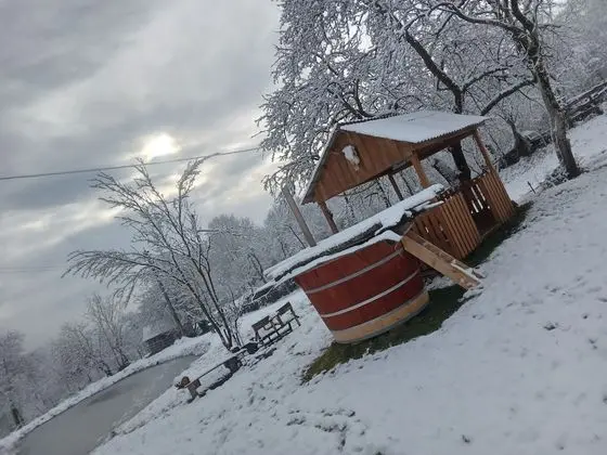 Oda, 1 Yatak Odası, Veranda