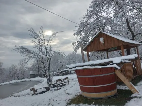 Oda, 1 Yatak Odası, Veranda