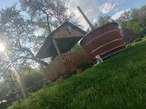 Oda, 1 Yatak Odası, Veranda