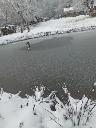 Oda, 1 Yatak Odası, Veranda