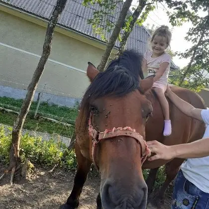 Oda, 1 Yatak Odası, Veranda