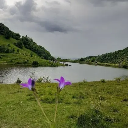 Oda, 1 Yatak Odası, Veranda