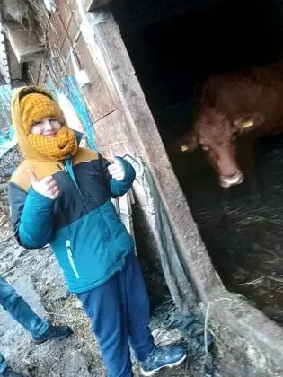 Oda, 1 Yatak Odası, Veranda