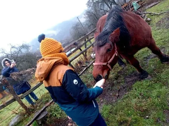 Oda, 1 Yatak Odası, Veranda