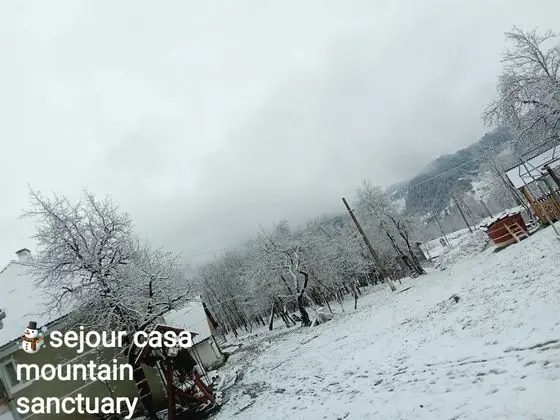 Oda, 1 Yatak Odası, Veranda