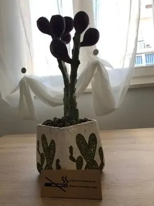 Apart Daire, 1 Yatak Odası, Engellilere Uygun, Balkon