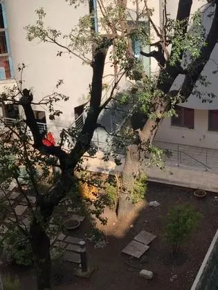 Apart Daire, 1 Yatak Odası, Engellilere Uygun, Balkon