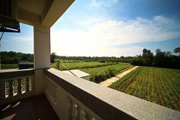 Standard Dört Kişilik Oda