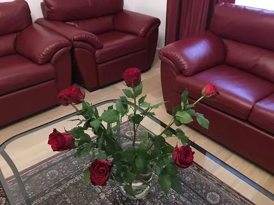 Luxury Apart Daire, 2 Yatak Odası, 2 Banyolu