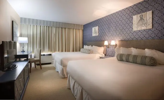 Queen Room - 2 Queen Beds