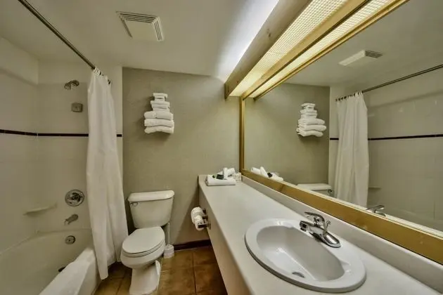 Çatı Katı (Loft), 1 Büyük (Queen) Boy Yatak ve Çekyat