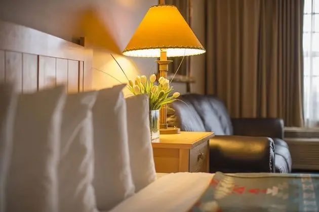Deluxe Oda, 1 En Büyük (King) Boy Yatak (Deluxe One King Guestroom with sofa)