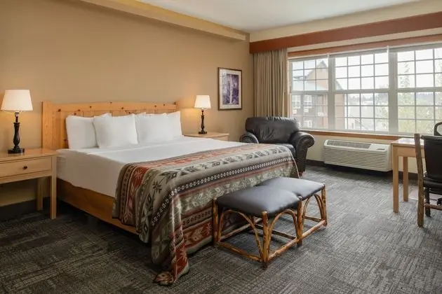 Standard Oda, 1 En Büyük (King) Boy Yatak (Standard One King Guestroom)