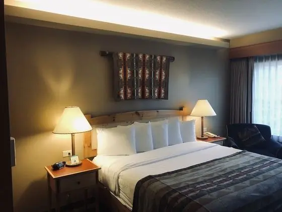 Standard Oda, 1 En Büyük (King) Boy Yatak (Standard One King Guestroom)
