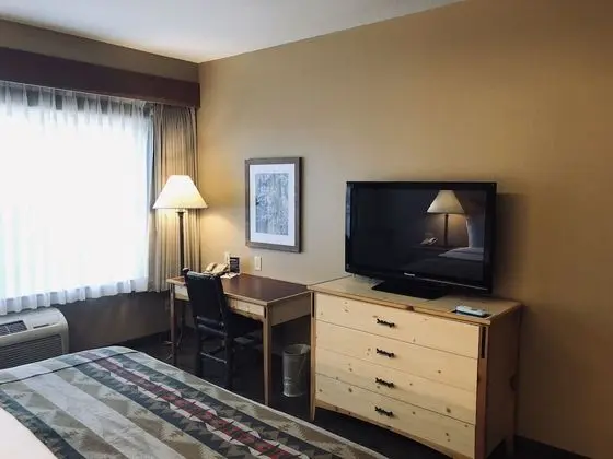 Standard Oda, 1 En Büyük (King) Boy Yatak (Standard One King Guestroom)