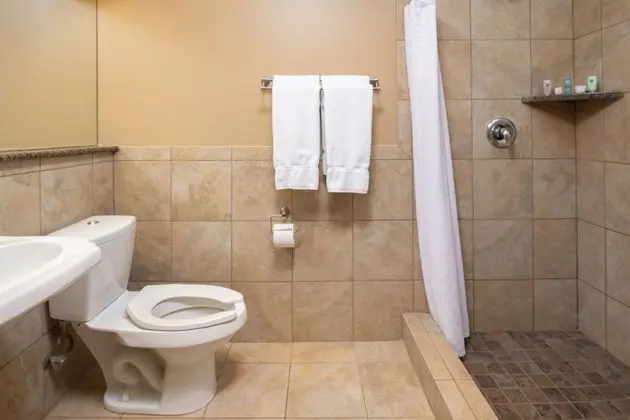 Standard Oda, 1 En Büyük (King) Boy Yatak (Standard One King Guestroom)