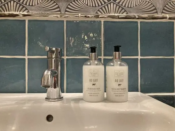Standard Tek Büyük Yataklı Oda, 1 En Büyük (King) Boy Yatak, Banyolu/Duşlu