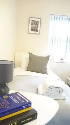 Deluxe Tek Büyük Yataklı Oda, 1 Yatak Odası (room 3)