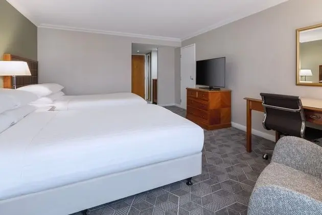 Deluxe Oda, 2 Çift Kişilik Yatak