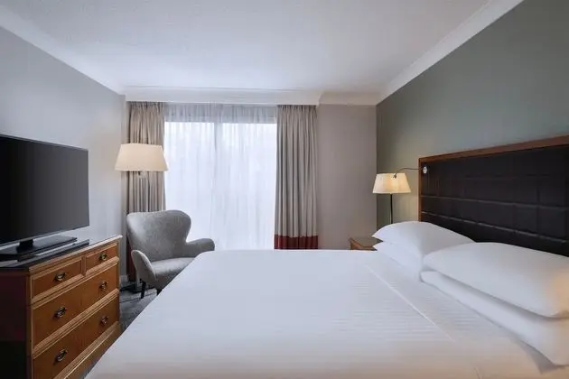 Junior Süit, 1 Yatak Odası (Lounge Access Included)