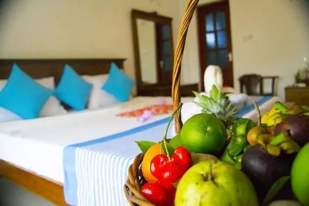 Superior Double Room (AC)
