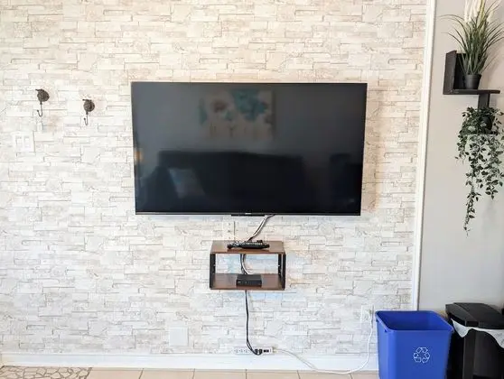 Televizyon