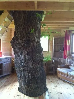 Romantic Kulübe
