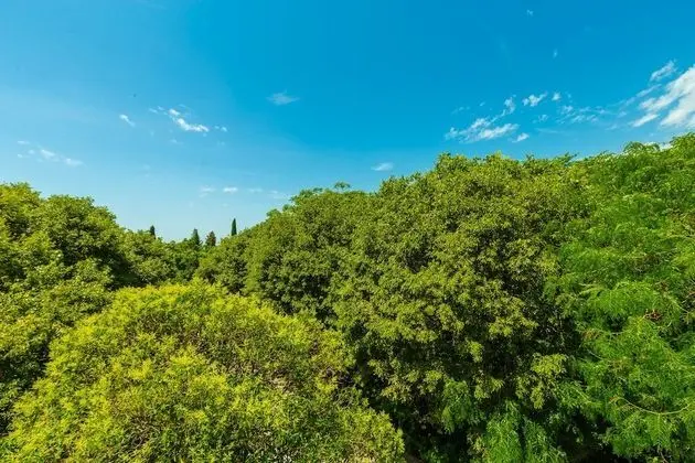 City Apart Daire, Teras (1 Bedroom)