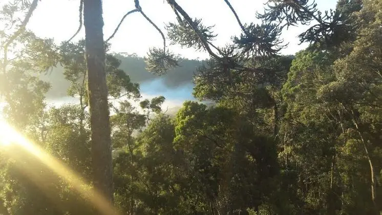 Standard Oda, 1 Yatak Odası, Bahçe Manzaralı (Vista Rua)