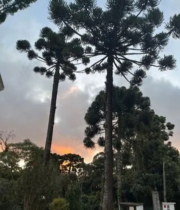 Standard Oda, 1 Yatak Odası, Bahçe Manzaralı (Vista Rua)