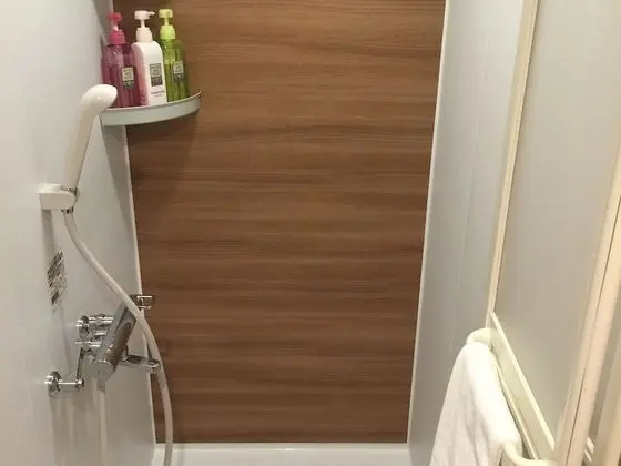 İki Ayrı Yataklı Oda, Sigara İçilmez (Shower Booth)