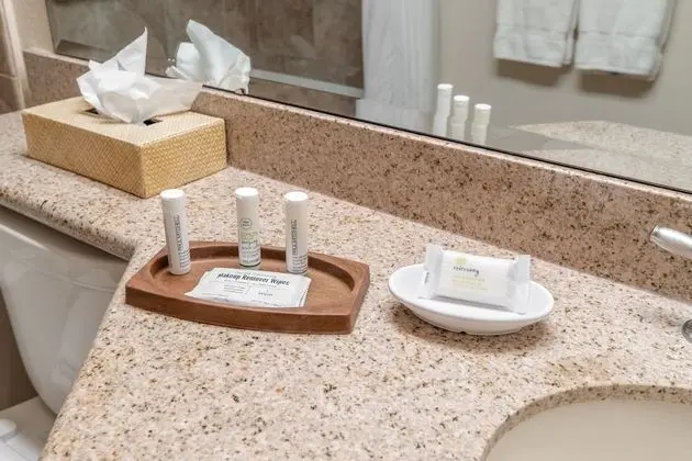 Standard Daire, 2 Yatak Odası, Sigara İçilmez