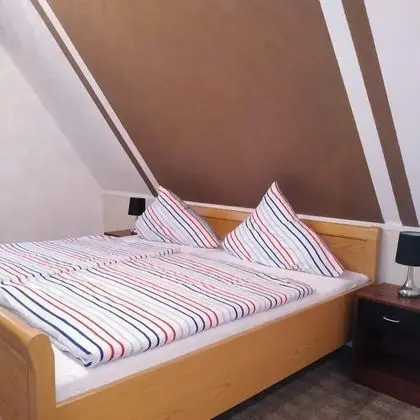 Standard Tek Büyük Yataklı Oda, Bahçe Manzaralı