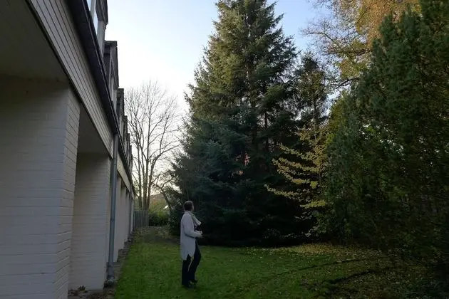 Comfort Tek Kişilik Oda, Park Manzaralı