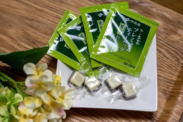 Oda (503)