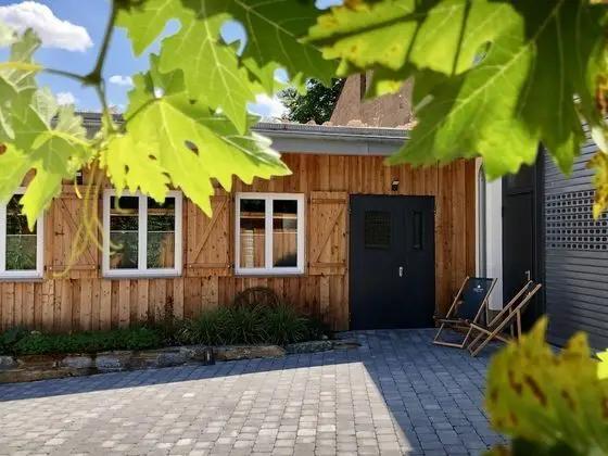 Comfort Stüdyo, 1 Yatak Odası