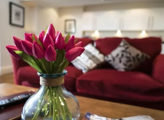 Apart Daire, Banyolu/Duşlu (2 Bedroom (Basement) )