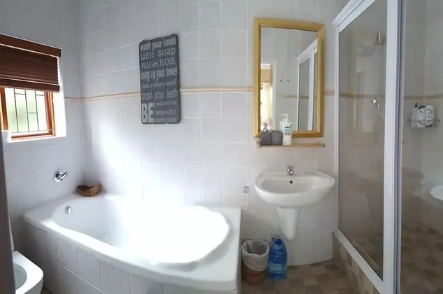 Süit