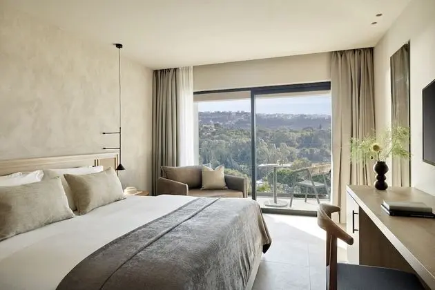 Standard Double with Mountain View