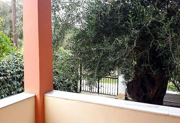 Stüdyo