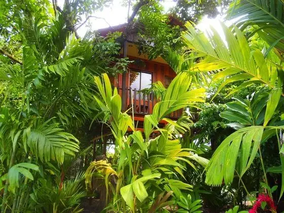 Treehouse Bungalow