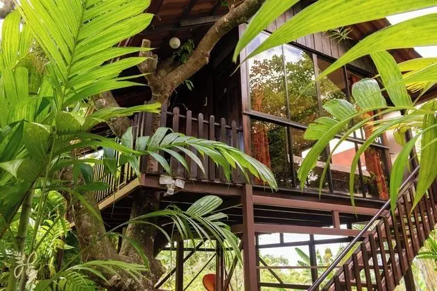 Treehouse Bungalow