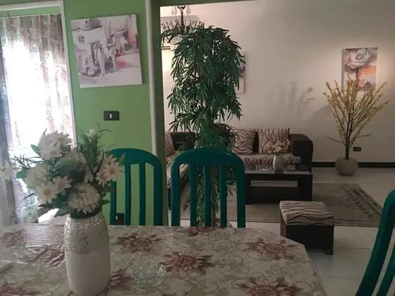 Deluxe Apart Daire, 2 Yatak Odası, Sigara İçilebilir, Mutfak