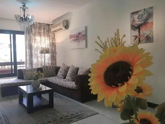 Deluxe Apart Daire, 2 Yatak Odası, Sigara İçilebilir, Mutfak