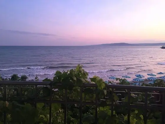 Tek Büyük veya İki Ayrı Yataklı Oda, Balkon